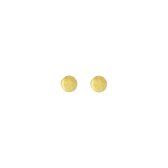 24/7 Jewelry Collection Cirkel Oorbellen - Rond - Oorknopjes - Geborsteld - Minimalistisch - Goud