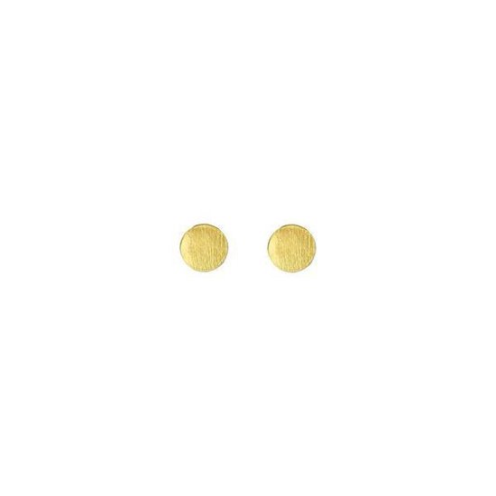 24/7 Jewelry Collection Cirkel Oorbellen - Rond - Oorknopjes - Geborsteld - Minimalistisch - Goud
