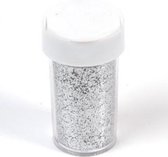 Glitterpoeder 20gr - 24stuks - zilver