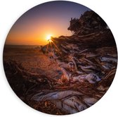 Dibond Wandcirkel - Landschap met Zonsondergang - 90x90cm Foto op Aluminium Wandcirkel (met ophangsysteem)