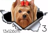Yorkshire terrier 3D Sticker/auto/gladde muren/laptop/camper/boot