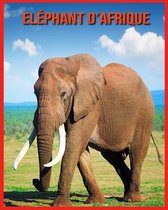 Elephant d'Afrique