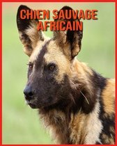 Chien Sauvage Africain