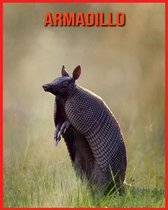 Armadillo