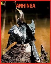 Anhinga
