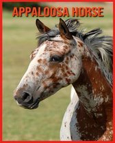 Appaloosa Horse