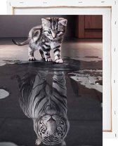 Kat en tijger reflectie - Schilderen op nummer - Met frame - 40x50 cm