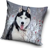 Husky in de sneeuw - Sierkussen Kussen 40 x 40 cm inclusief vulling