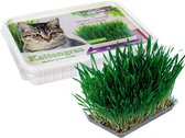 Kattengras extra zacht 2 x 120 gr - 2 doosjes om zelf kattengras te kweken
