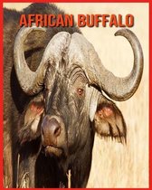 African Buffalo