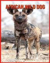 African wild dog