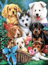 Happy Painter Diamond Painting volwassenen - Puppy's in tuin - 30x40cm vierkante steentjes - hobby en creatief volwassenen