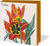 Kaartenmapje met env, vierkant: Tulips, Museum de Zwarte Tulp