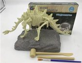 Dinosaurus opgravingsset - Stegosaurus - Speelgoed - Dino fossiel