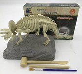 Dinosaurus opgravingsset - Triceratops - Speelgoed - Dino fossiel