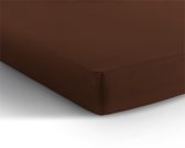 Dekbeddenwereld- hoeslaken- jersey- stretch- Lits-jumeaux- 180x200+30cm- geschikt voor boxspring- donker bruin