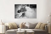 Schilderij -Zebra in het stof,  3 luik, 120x80cm, premium print