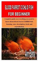 Blood Parrot Cichlid Fish for Beginner: Complete guide on everything you need to know about Blood Parrot Cichlid Fish