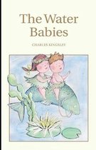 The Water-Babies Illustrated