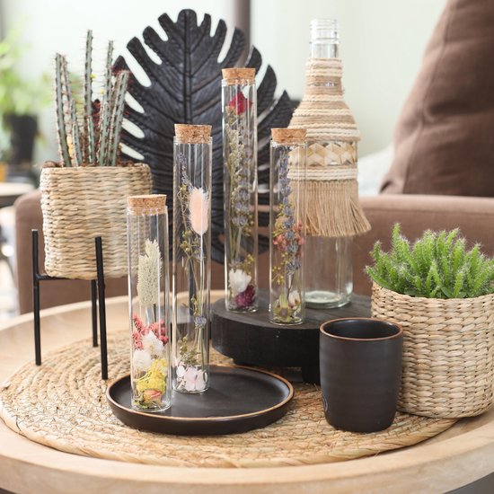 Comforder Droogbloemen in Glas - Gedroogde Bloemen Boeket met Vaas - Set van 4 - Inclusief Vaas - In Fles - Valentijn Cadeau