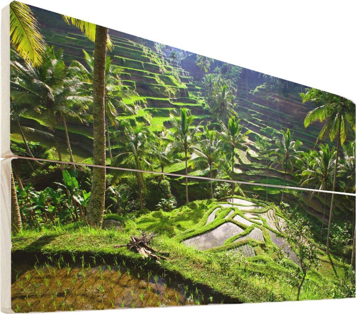 Rijstvelden op hout - 30x20 - Spectaculaire rijstvelden ten noorden van Ubud Vurenhout met planken - foto/schilderij op hout - MuchoWow