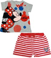 Disney Minnie Mouse set - broekje + shirt - Bubbels - rood/grijs - maat 74 (12 maanden)