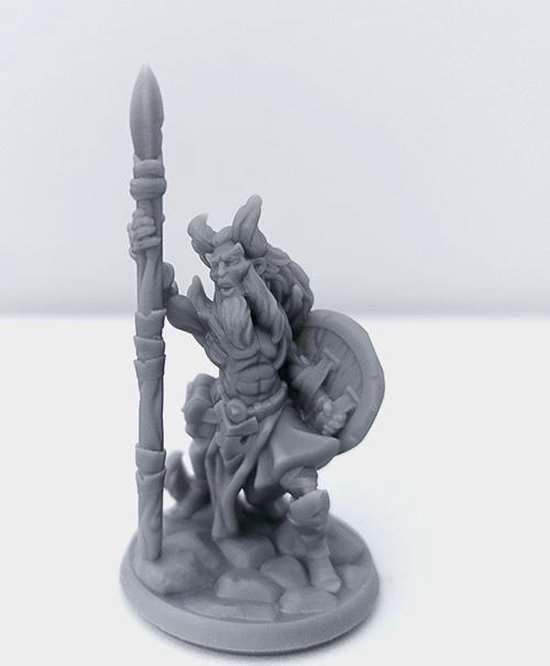 Afbeelding van het spel 3D Printed Miniature - Demonkin Male 02 - Dungeons & Dragons - Hero of the Realm KS