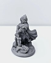 3D Printed Miniature - Paladin Female 02 - Dungeons & Dragons - Hero of the Realm KS