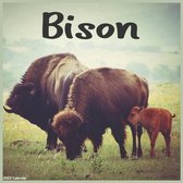 Bison 2022 Calendar