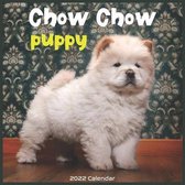 Chow Chow Puppy 2022 Calendar