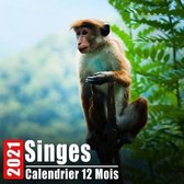 Calendrier 2021 Singes