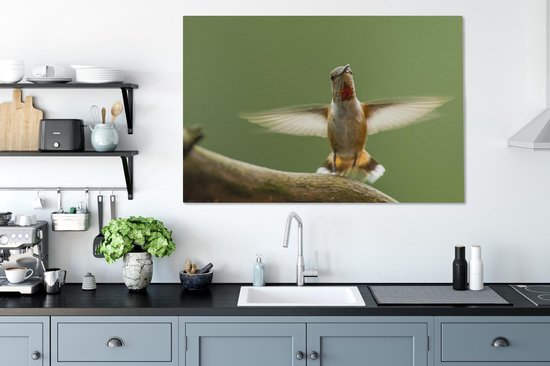 Un colibri calliope sur une branche Toile 140x90 cm - Tirage photo sur toile (Décoration murale salon / chambre)