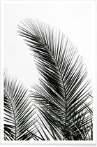 JUNIQE - Poster Palm Leaves 1 -20x30 /Kleurrijk