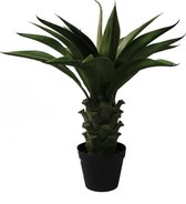 Agave Kunstplant 60cm | Kunstplanten voor Binnen | Succulent Kunstplant | Kunst Agave
