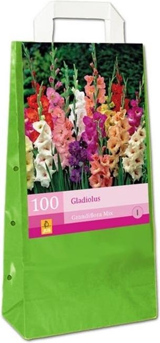 100 Gladiolus MiIn Een Draagtas