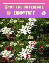 Spot the difference Candytuft