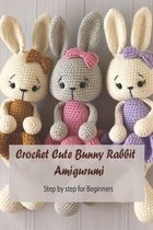 Crochet Cute Bunny Rabbit Amigurumi: Step by step for Beginners