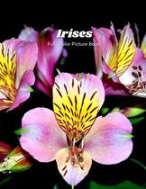 Irises Full-Color Picture Book