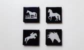 Jewels Delight Paarden Magneten Set Wit Zwart Vierkant