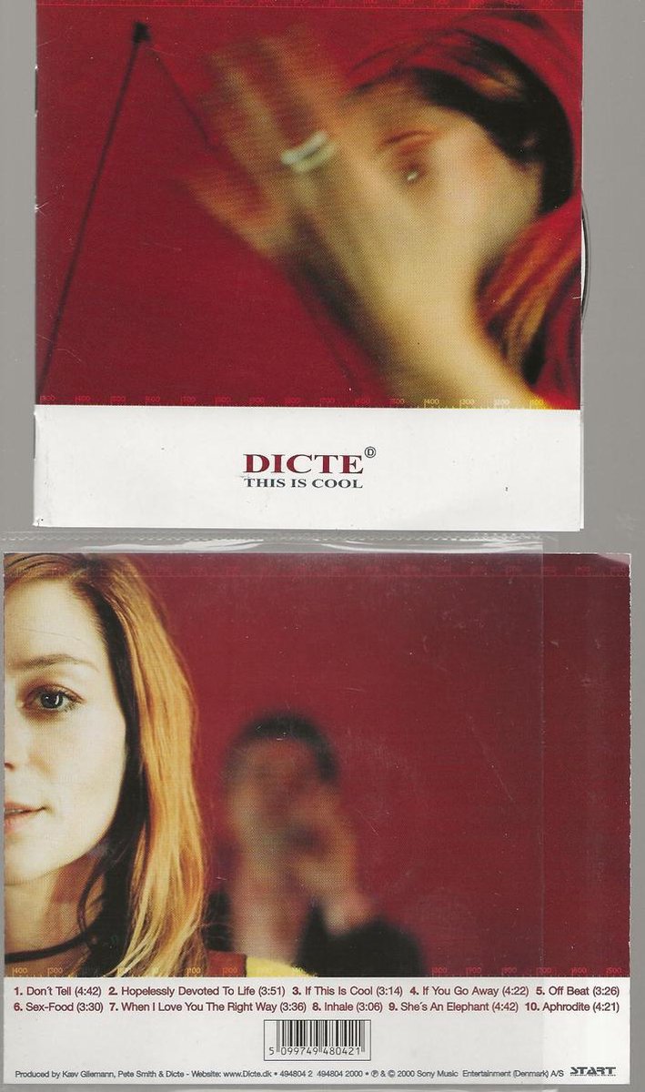 Dicte -This Is Cool