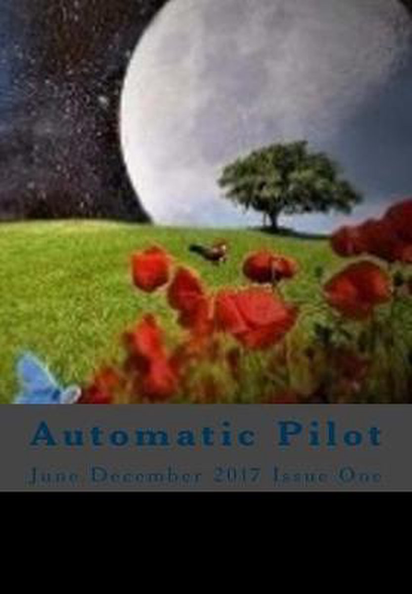 Automatic Pilot Issue One van Brian Bingham