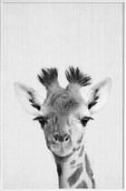 JUNIQE - Poster in kunststof lijst Giraffe - monochrome foto -60x90