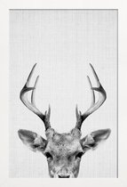 JUNIQE - Poster in houten lijst Rendier zwart-wit foto -60x90 /Wit &
