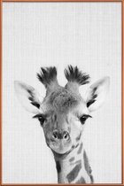 JUNIQE - Poster met kunststof lijst Giraffe - monochrome foto -60x90