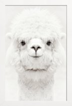 JUNIQE - Poster in houten lijst Lachende Alpaca -30x45 /Wit