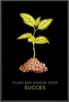 Kuotes Art - Canvas Schilderij - Zaadje - Muurdecoratie - 60 x 90 cm