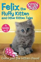 Jenny Dale’s Animal Tales 3 - Felix the Fluffy Kitten and Other Kitten Tales