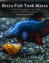 Betta Fish Tank Mates: 11 Compatible Betta Fish Tank Mates