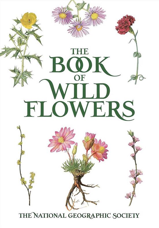 Book Of Wild Flowers 0 The National