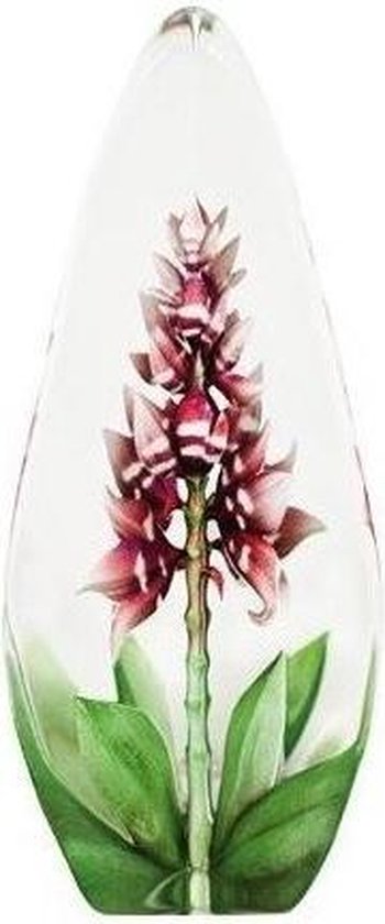 Kristallen Orchidee bloem (Mats Jonasson)